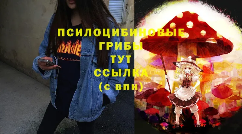 Галлюциногенные грибы Psilocybe  где найти   Петровск-Забайкальский 